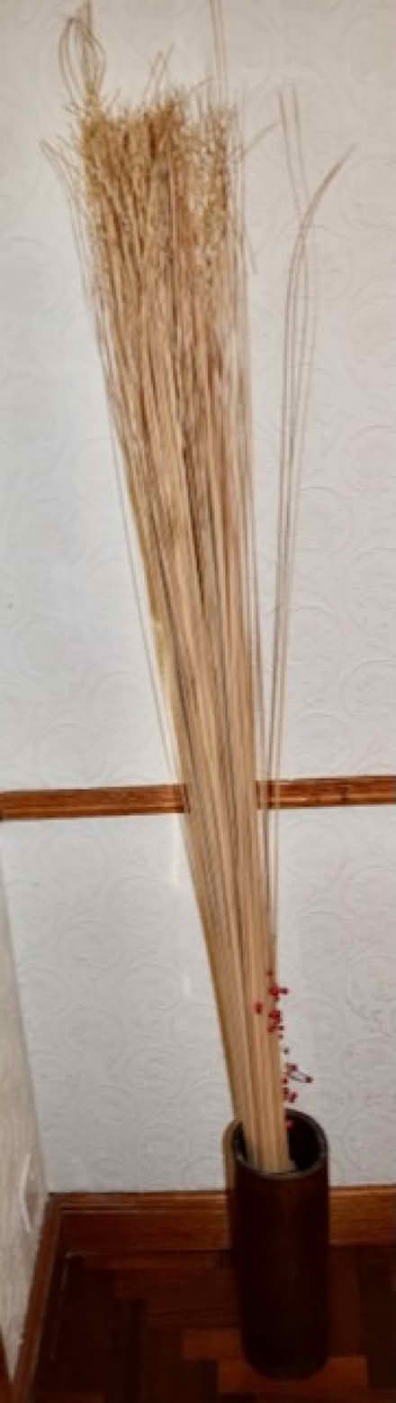 Photo of free Ornamental reeds in wooden container (Lochend EH6) #2