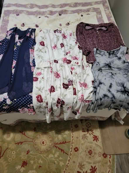 Photo of free Size L, XL womens tops and dresses (Merriam, KS) #1