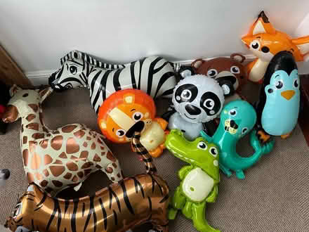 Photo of free Animal Balloons (Meadowhead S8) #1