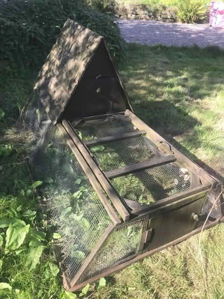 Photo of free guinea pig run (Chinley SK23) #1