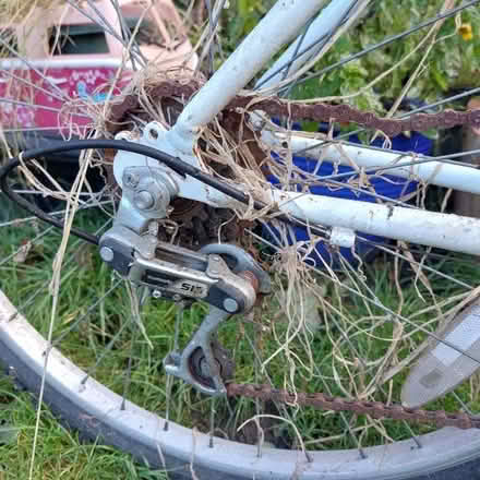 Photo of free Girls mountain bike (Hertford Heath SG13) #1