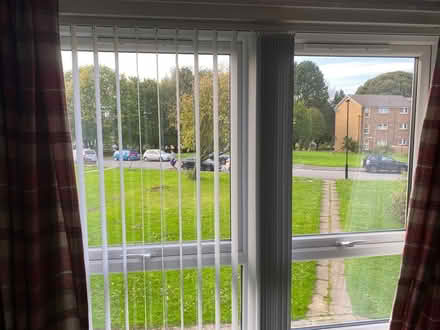 Photo of free Blinds (S10) #1