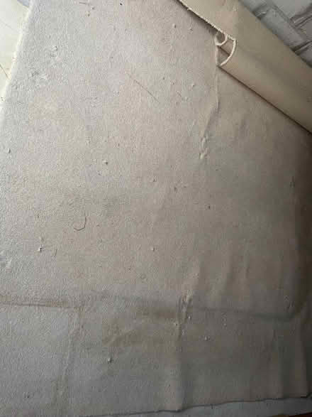 Photo of free Carpet (Porth TR7) #1