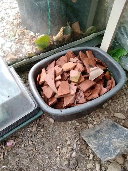 Photo of free Plant pots and crocks (Launceston PL15) #2
