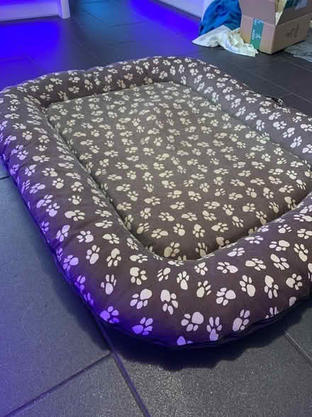 Photo of free Large dog bed (Fruitlands WR14) #2