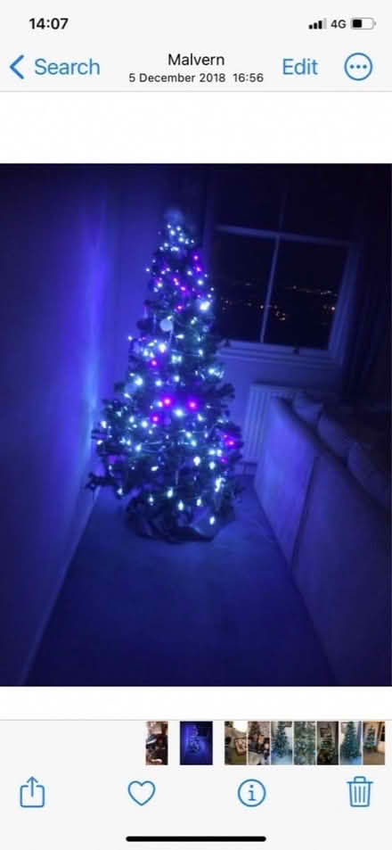 Photo of free Christmas tree (Ferndale DY11) #2