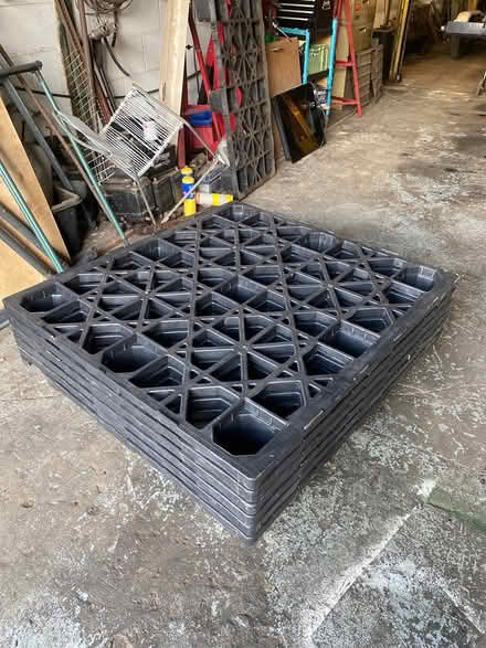 Photo of free Plastic pallets (Matlock DE4) #1