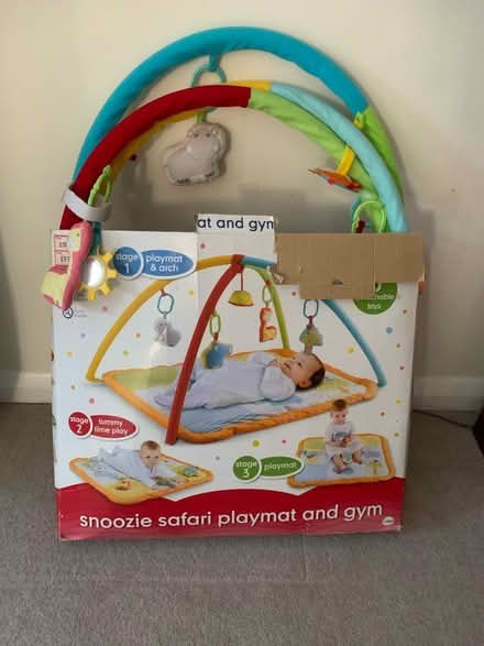Photo of free Baby playmat & gym (Kenilworth) #1