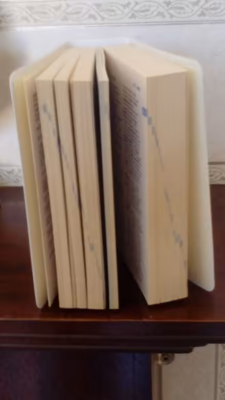 Photo of free Pocket German Dictionary L35 (Whiston L35) #2
