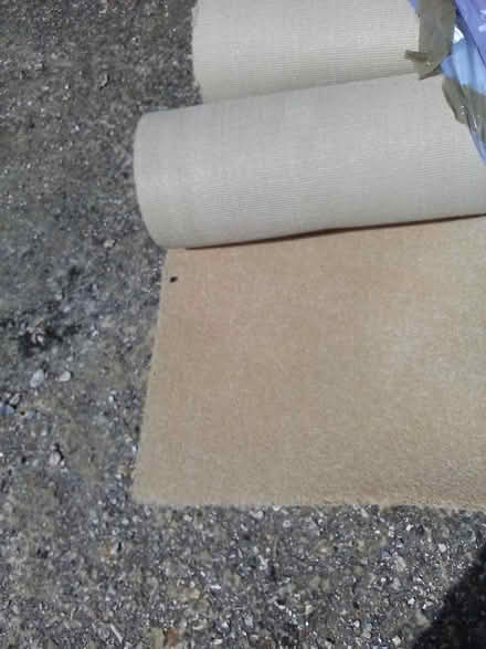 Photo of free New Carpet Offcuts (West Worthing BN11) #1
