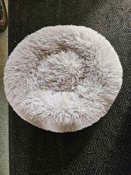Photo of free Small dog bed (Horsham) #1