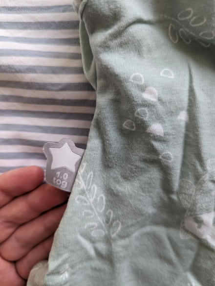 Photo of free Tommee tippee swaddle bag (Bethnal Green E2) #3