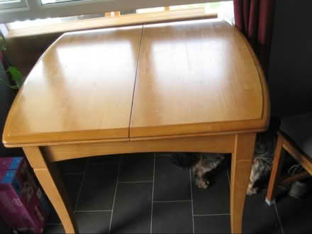 Photo of free Dining Table (CT12) #1