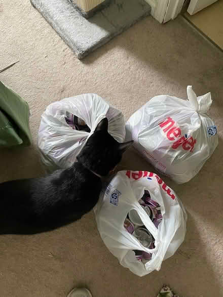 Photo of free Aluminum cans (West Bloomfield) #1