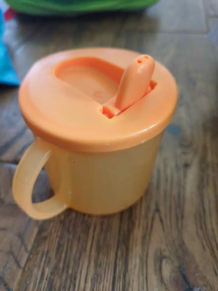 Photo of free Sippy cup (BR6, Green Street Green) #1