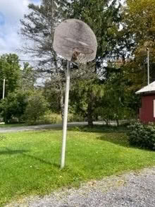 Photo of free basketball hoop post (Trumansburg, ny) #1