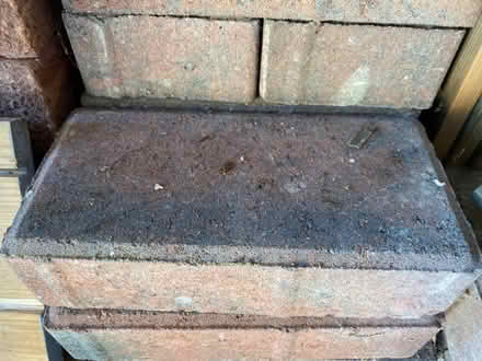 Photo of free Drive way bricks (Westham BN24) #1