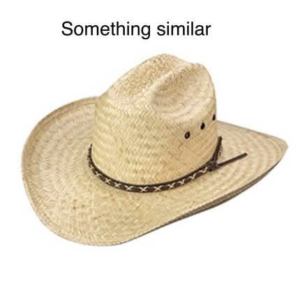 Photo of Cowpoke hat for costume (Ypsilanti Twp) #1
