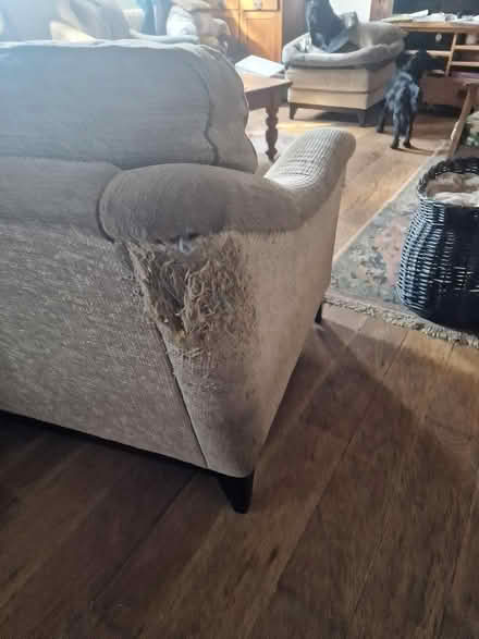 Photo of free 3 piece lounge suite (Worstead NR28) #1
