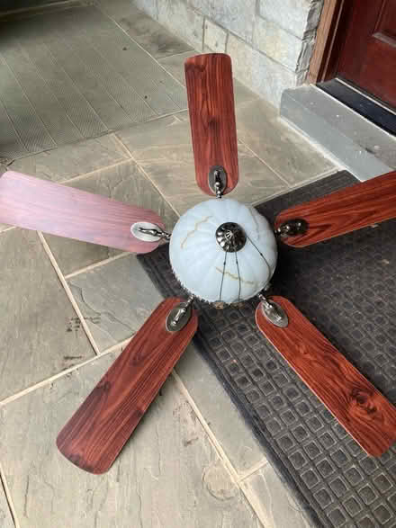 Photo of free Ceiling light/fan (Bethesda) #1