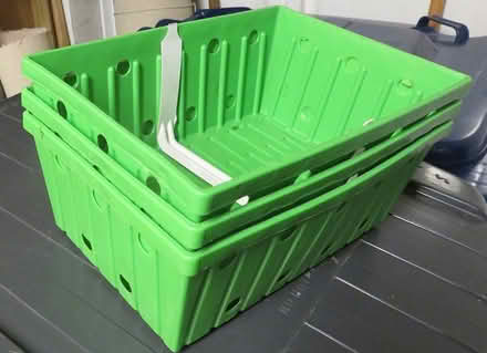 Photo of free 3x green punnets (Finchley Central N3) #1