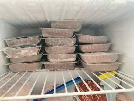 Photo of free Bella & Duke cat raw food for adult (W6) #1