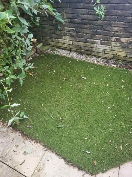 Photo of free Artificial grass BD19 (cleckheaton) #2