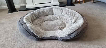 Photo of free Large Dog Bed (Barry CF62) #1