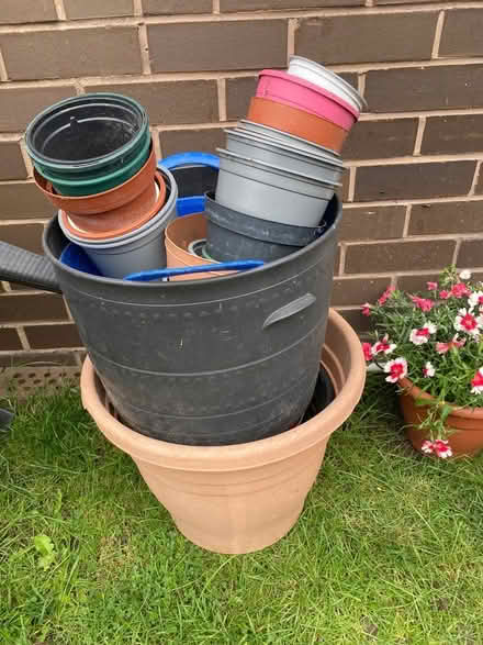 Photo of free Plant pots (Birches head ST1) #1