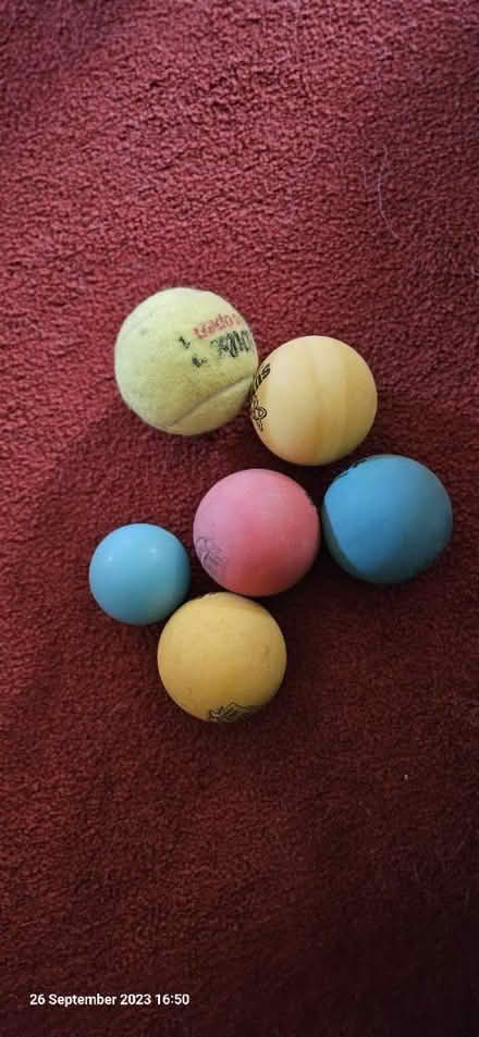 Photo of free Dog play balls (Stevenage SG2) #1