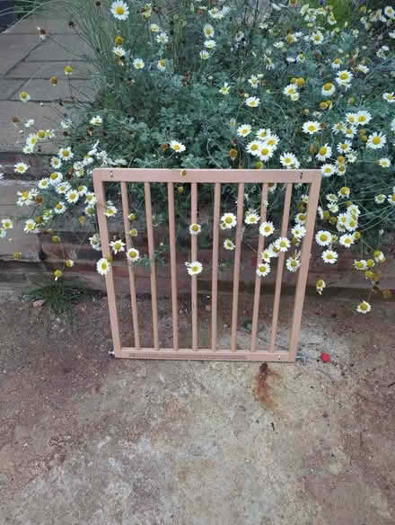 Photo of free Gate (child/dog) (Beckley OX3) #2