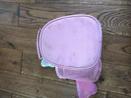 Photo of free Butterfly lunchbag (BR6, Green Street Green) #3