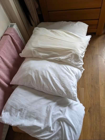 Photo of free Pillows (Haghill G31) #1