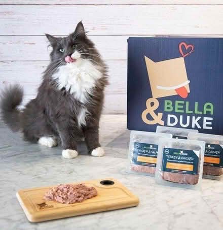 Photo of free Bella & Duke cat raw food for adult (W6) #2