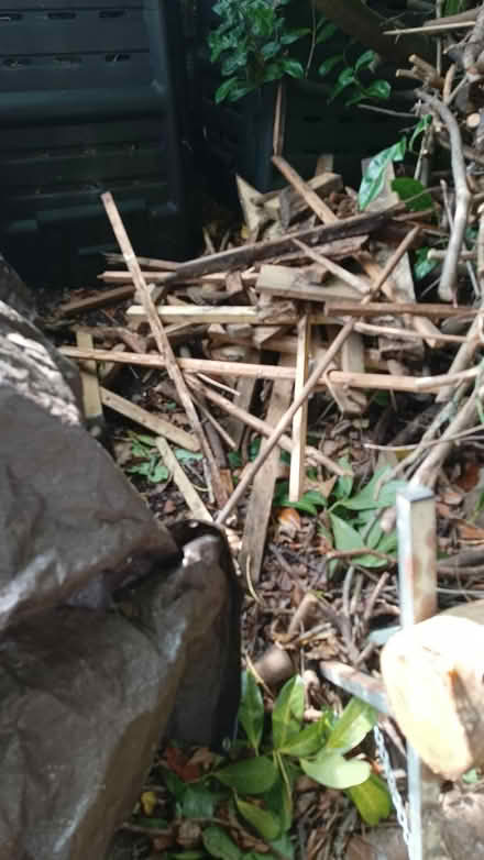 Photo of free Timber offcuts , good for firewood ? (Emery Down SO43) #2