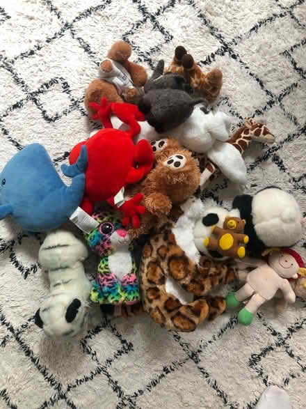 Photo of free A bag of soft/ cuddly toys (Near Thornhill square N1) #1