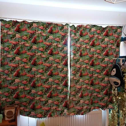 Photo of free Flamingo pattern curtains (Wakefield WF1) #2