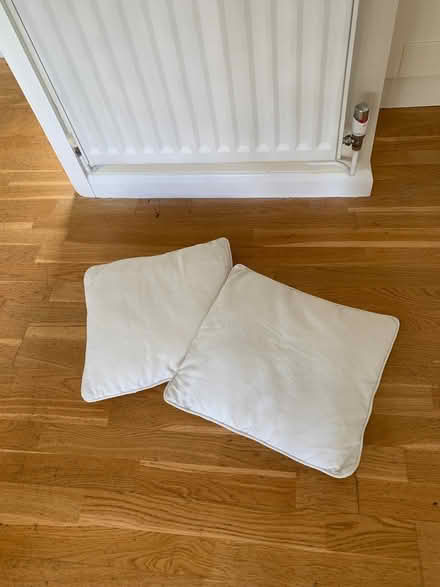 Photo of free 2 plain white scatter cushions (RH5) #1