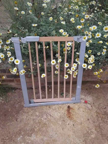 Photo of free Stair/dog gate (Beckley OX3) #1