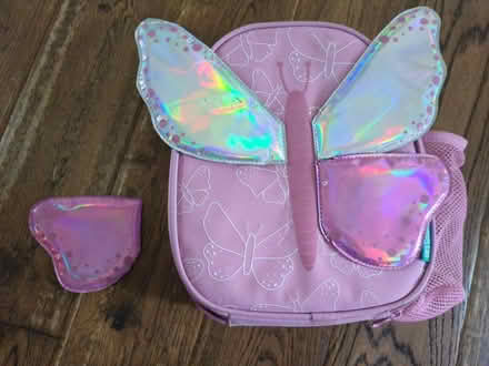 Photo of free Butterfly lunchbag (BR6, Green Street Green) #1