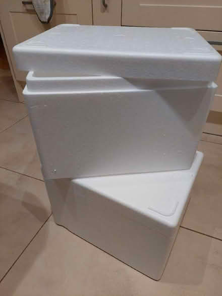 Photo of free Polystyrene boxes (Caversham Park RG4) #1
