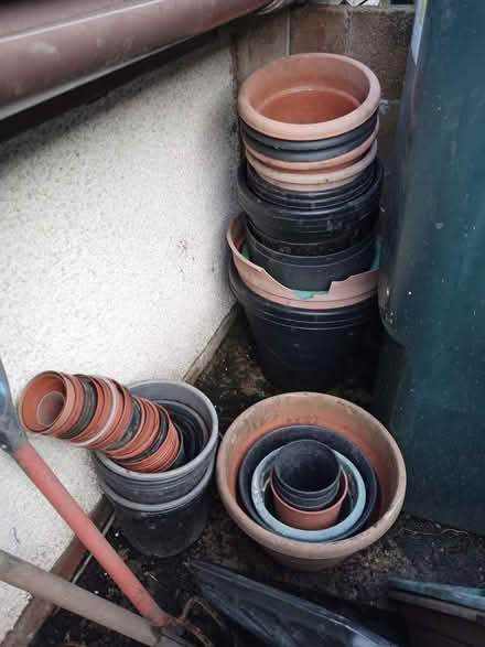 Photo of free Yet more plastic pots! (Langwathby CA10) #2