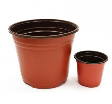 Photo of Plant pots all sizes (Hollingdean BN1) #1