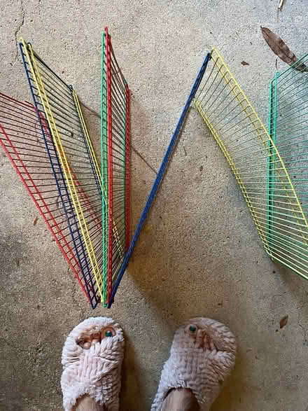 Photo of free Play pens for small animals (Falls Church) #2