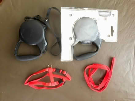 Photo of free Retractable leads & harness (Concord/Strathfield) #1