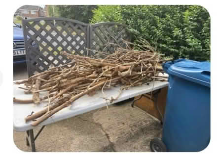 Photo of free wood for bonfire night (Stafford ST17) #1