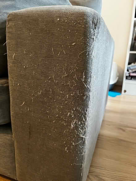 Photo of free 4 seater sofa (EH54) #3