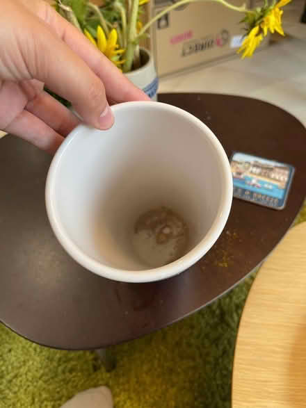 Photo of free Vase (Norbiton KT2) #2