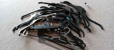 Photo of free plastic hangers (Orpington BR5) #1