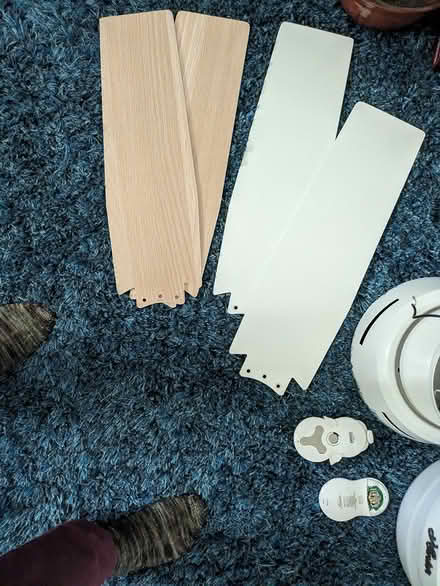 Photo of free ceiling fan (Stevens Forest, Columbia) #3